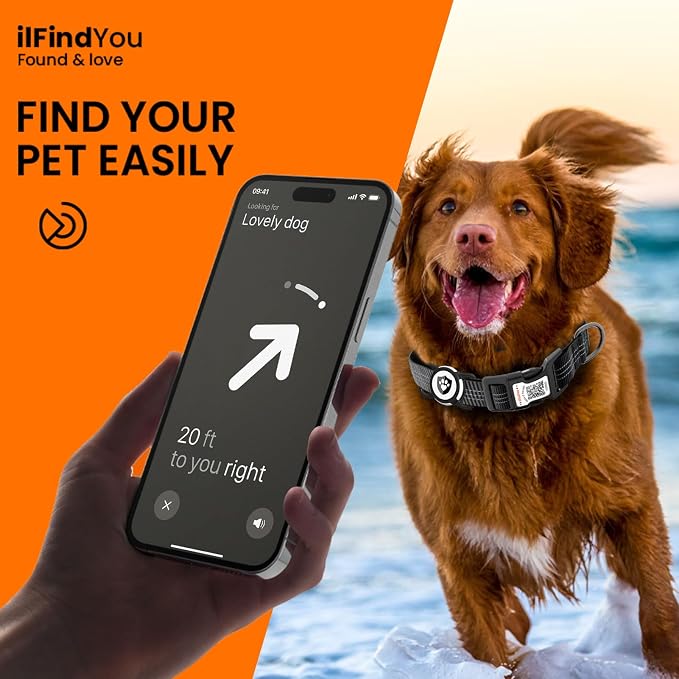 Waterproof AirTag Dog Collar with QR Code Dog Tag, Black S | IP68 waterproof, QR code dog tag, Anti-Lost, Online profile, fits XS-L (8"-26"), Padded nylon, Reflective, No App, No Fees