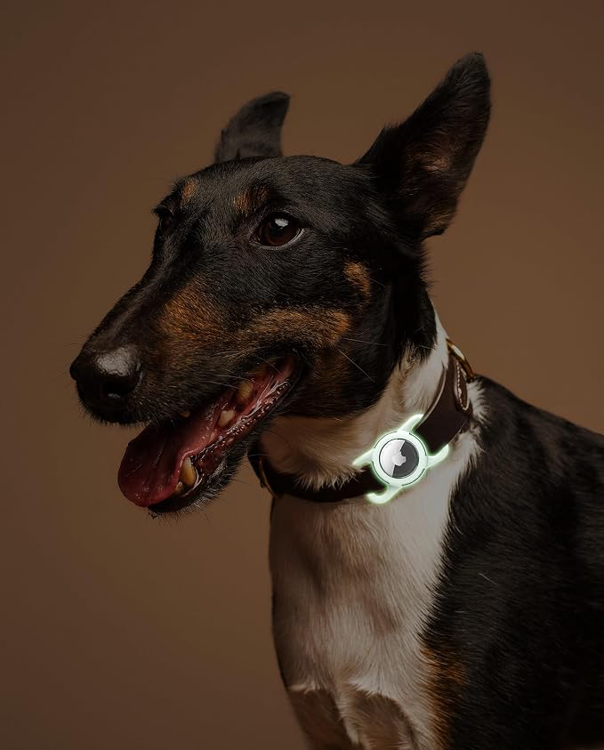 Waterproof AirTag Holder for Dog Collar, Soft Slide-On Dog AirTag Holder | Full-Body Protection, No-Dangle Fit, Ultra-Durable, Lightweight, Tool-Free Installation, Clear Cover, Fits Dog & Cat Collars