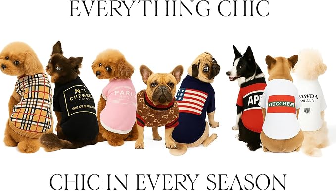 Everything Chic Luxury Dog Sweater – Soft Knit Designer Pet Outfit for Small Dogs & Puppies, XS–L, Stylish Warm Clothing for Yorkies, Chihuahuas, Dachshunds, Maltese, French Bulldog
