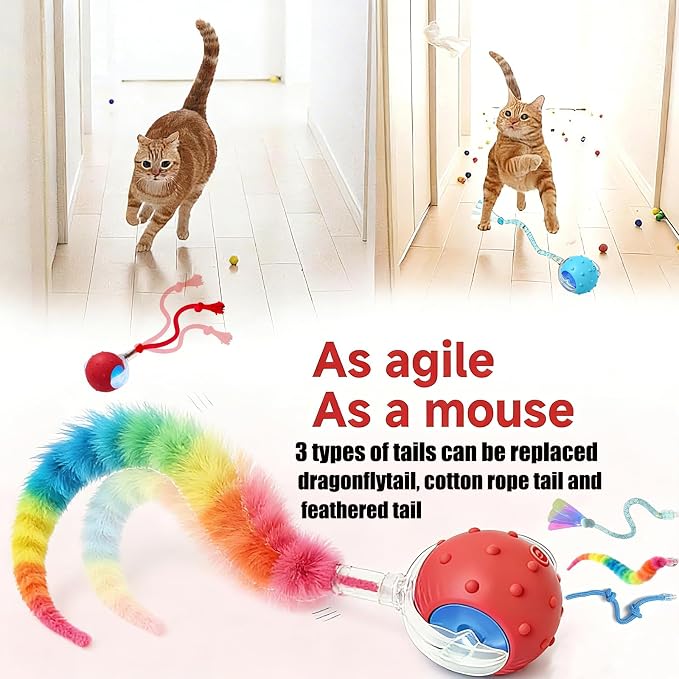 2PCS Interactive Cat Toys for Indoor Cats with 6 Tails, Automatic Cat Toy | Fast Rolling on Carpet/ Wooden Floor/ Tiles, Rechargeable Kitten Toys, for Small/ Medium/ Large Cats to Enrichment Exercise