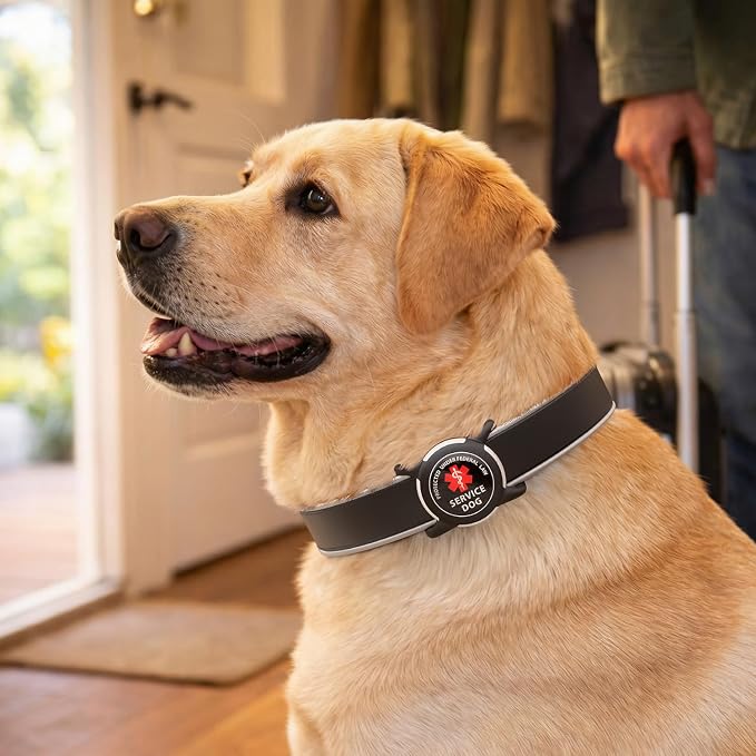 Waterproof AirTag Holder for Dog Collar, Soft Slide-On Dog AirTag Holder | Full-Body Protection, No-Dangle Fit, Ultra-Durable, Lightweight, Tool-Free Installation, Fits Dog & Cat Collars