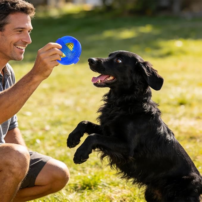 Indestructible Dog Balls 3.5 Inch Tough Chew Toys for Aggressive Chewers