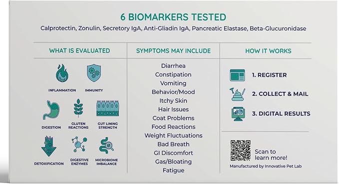 Comprehensive Gut Health Check for Dogs - At-Home Stool Test for Digestion, Immune & Leaky Gut Symptoms Like Diarrhea, Allergies, Itchy Skin, Bad Breath - Easy Non-Invasive Testing