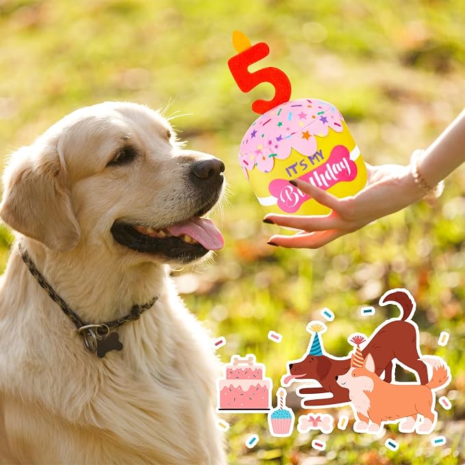 Dansydaisy Dog Birthday Cake Toy Squeaky Plush Gift,5th,Pink and Yellow