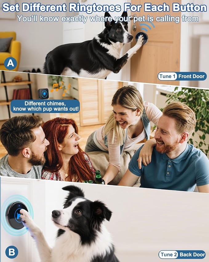 Dog Door Bell 2026 Enhanced Touch, Wireless Doggie Doorbell for Potty Training to Go Outside, IP65 Waterproof, 1000ft Range, 55 Melodies, 5 Modes & Adjustable Volume (4 Buttons)