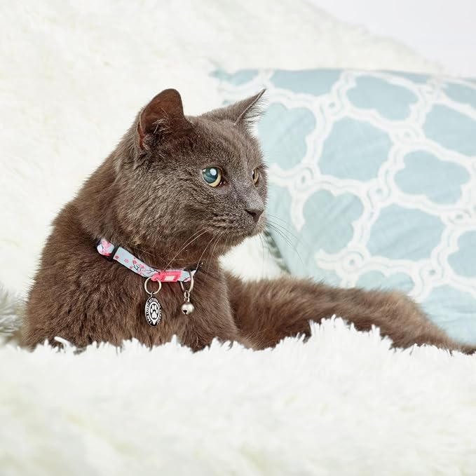 Max & Molly Urban Pets Fun & Pretty Cat Collar w/Jingle Bell, Breakaway Safety Buckle, Adjustable Sizing & Smart ID Personalized Tag for Girl or Boy Cats/Kittens, Cherry Bloom Design (197021)
