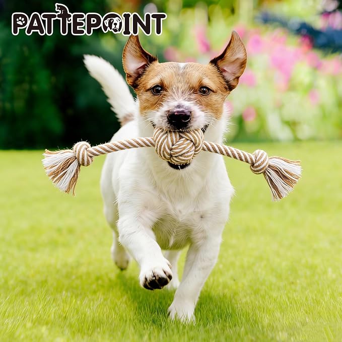 Dog Rope Toy for Small Dog 3pcs, Natural Chew Toys for Puppy, Medium Dogs