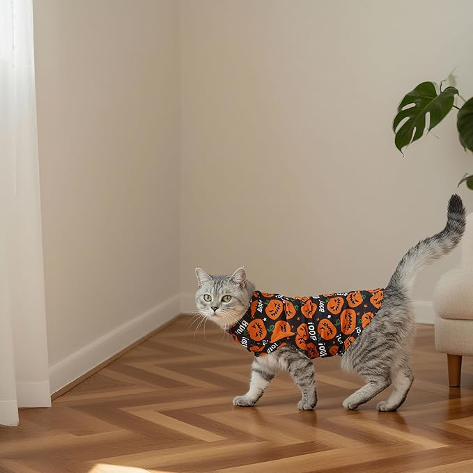 Halloween Cat Sweater Warm Fleece Pet Clothes for Cats Only | Soft Cat Vest Puppy Hoodie Coat, Fall Cold Winter Sweatshirt Pullover Clothing also for Small Dogs, Pumpkin M