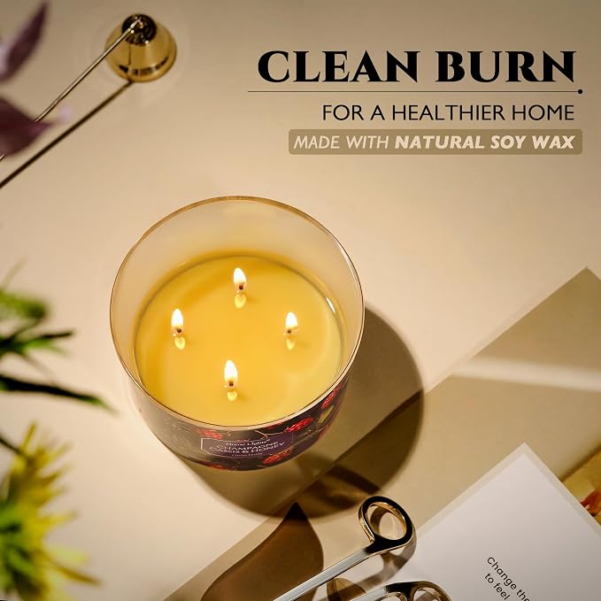 HomeLights Scented Candles for Women & Men, 18oz Candle Jars Aromatherapy 4-Wick Candle, Ideal for Eclectic Mixed Styles Home Decor and Gifts, Champagne Cassis & Honey