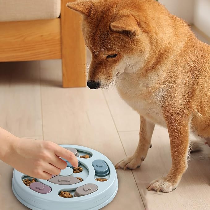 DR CATCH Dog Puzzle,Dogs Food Toys for IQ Training & Mental Enrichment,Dog Treat Puzzle(Blue)