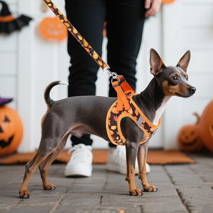 KOOLTAIL Fall Dog Harness and Leash Set for Small Medium Dogs, Thanksgiving Step in No Pull Comfort Padded Pet Vest, Adjustable Reflective Easy Walking Puppy Cats Harness Training, Leaf & Pumpkin M