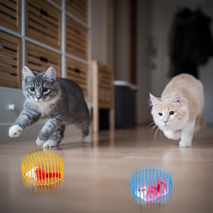 Jecery 5 Pcs Cat Toys Spring,Mouse,Bright Color