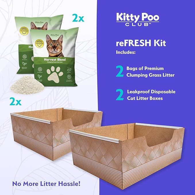 Kitty Poo Club Disposable Cat Litter Box 2-Pack with Grass Litter | Two 8 lb Bags, Fast-Clumping Plant Fibers, Soft Texture, Low Tracking, and Leak-Proof Setup for Travel or Multiple Cats