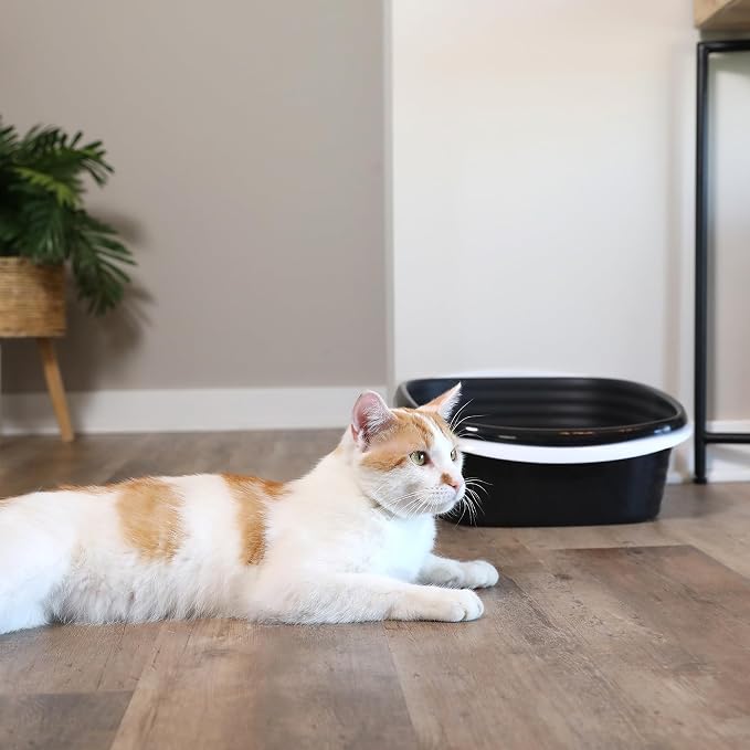 Arm & Hammer Large Sifting Litter Box Scoop Free Cat Litter Tray with Microban, Made in USA | Antimicrobial product protection, ideal for indoor felines, simple lift, shake and pour cleanup, helps keep odors in check