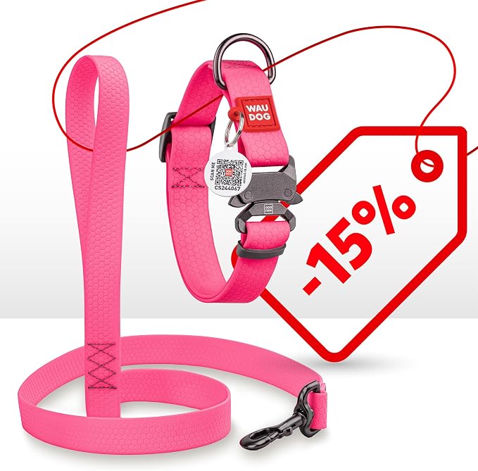 WAUDOG Waterproof Dog Collar Airtag Holder QR Tag Small Medium Large Dogs | Water and Dirt Resistant, Quick Dry QR Pet Tag Adjustable Durable Comfort for Male and Female Dogs Outdoor Walking Training