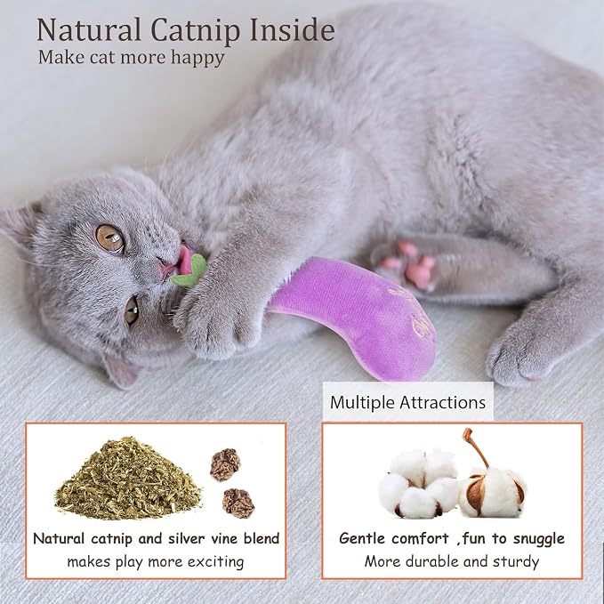 ETEKYER Catnip Cat Toys for Indoor Cats, Vegetable Shape 5 Pack