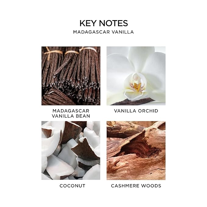 NEST New York Perfume Oil Discovery Set - Includes Balinese Coconut, Turkish Rose, Seville Orange, Indian Jasmine & Madagascar Vanilla - Vegan & Cruelty Free