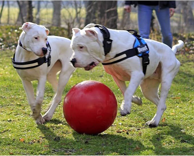 Jolly Pets Push-n-Play Ball Dog Toy, 4.5 Inches/Small, Blue (345 BL)