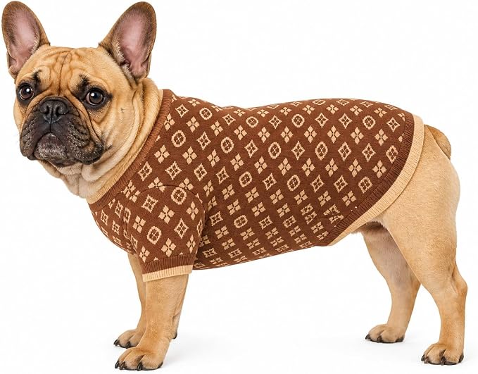 Dog Sweater for Small Dogs, Designer Dog Clothes, Luxury Chewy Pawtton Knit | Designer dog clothes for small dogs with soft knit comfort, luxury styling and easy pullover fit for Yorkies in cold weather.