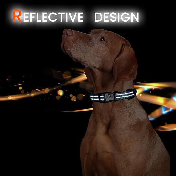 Personalized Dog Collar with QR Code Dog Tag, Light Blue M | Anti-lost, 1000D nylon, reflective, padded, XS-L(8"-24"), QR buckle shares lost pet profile, location alerts when scanned