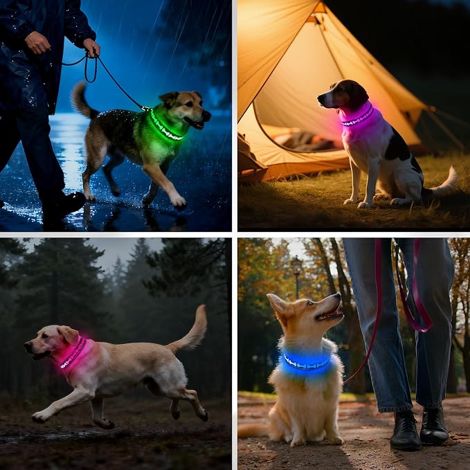 Flashseen LED Dog Collar Light up USB Rechargeable, 7-Color Glow, Grey, S