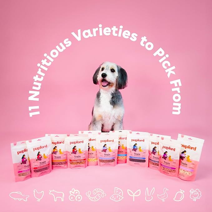 Pupford Freeze Dried Training Treats for Dogs & Puppies, 475+ Two Ingredient Bites (Salmon, 4 oz) (Pack of 2)