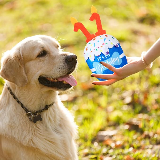 Dansydaisy Dog Birthday Cake Toy Squeaky Plush Gift,11th,Blue