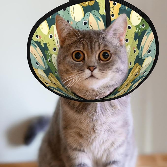 Cute Cartoon Smart Frog for Adjustable Cat Cone Collar