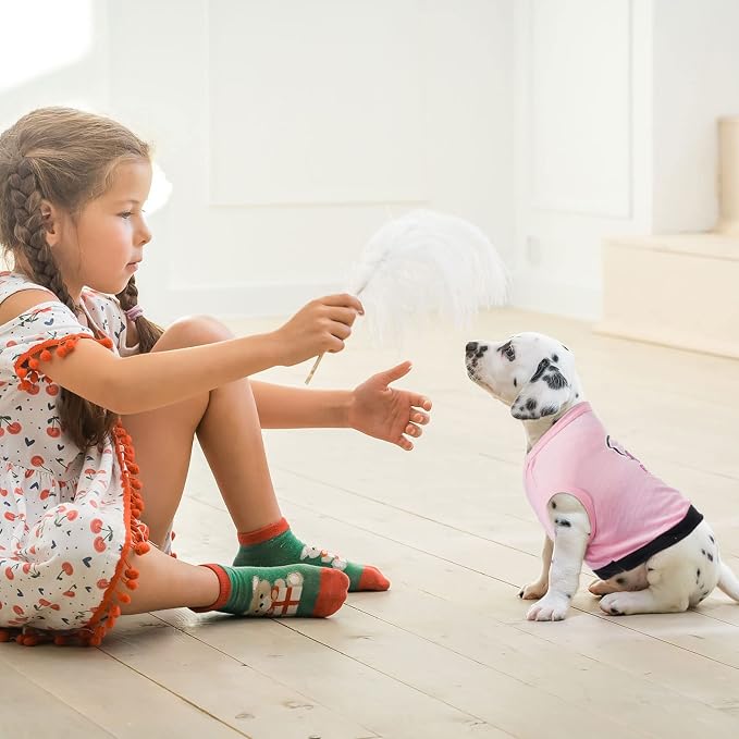 Reginary 8 Pieces Dog Shirts Girl Small Dog Clothes for Chihuahuas Yorkies Female Puppy Shirts Printed Pet Outfit Cute Breathable Soft Valentine's Day Doggie Cat Lovers Gift(Vivid Pattern,Large)