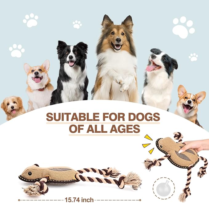Tough Squeaky Dog Toys for Aggressive chewers Interactive to Keep Them Busy, Durable Funny Cute Tug of war Rope Birthday Dogs Toy for Small Medium Large (Frog)