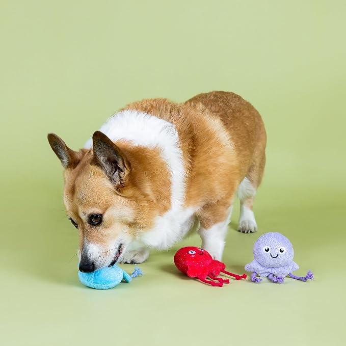 Fringe Studio Too TENTA-Cool Small Plush Dog Toy 3PCS Set, PetShop Collection (662127)