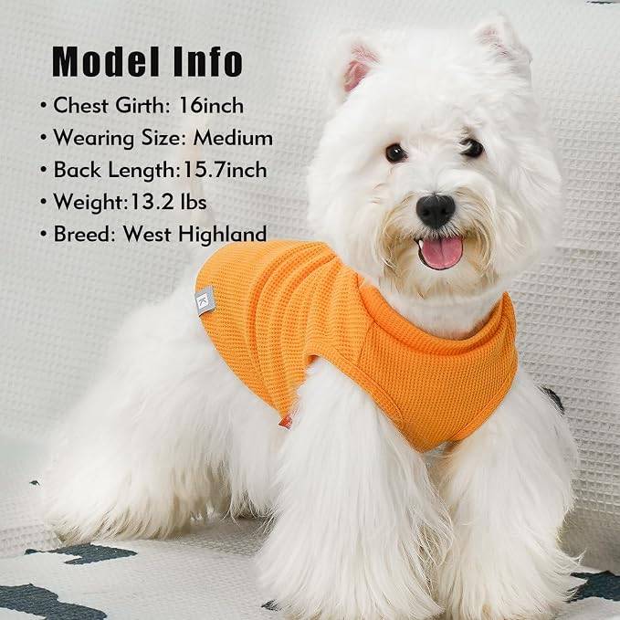 KYEESE 2Pack Waffle Dog Shirt for Small Dogs Striped Dog Sweater Tank Top | Cozy Warmth, Lightweight & Breathable, Gentle on Sensitive Skin, Stretchy & Free to Move, Comfortable Daily Wear