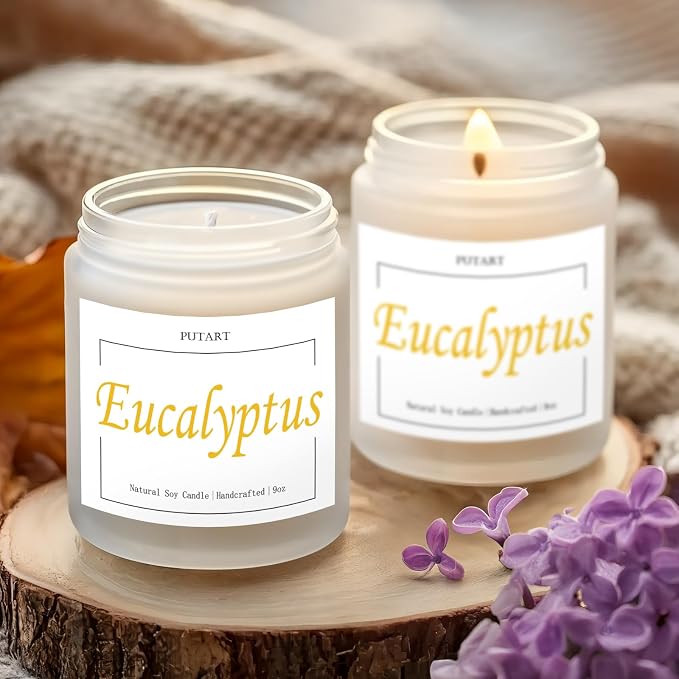 Eucalyptus Mint Highly Scented Candles, Natural Soy Aromatherapy Organic Non Toxic Candles with Long Lasting Burn, Luxury Essential Fragrance Jar Candle Gift for Birthday, Housewarming (9oz)