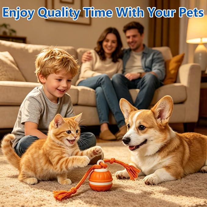 Interactive Dog Ball, 360° Self-Moving, USB-C, LED and Squeaker