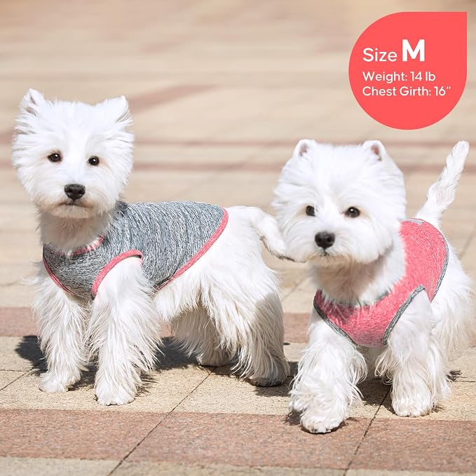 KYEESE 2Pack Dog Shirt for Small Dogs Sun Protection Tank Top for Summer | Reflective for Safety, Lightweight & Breathable, Shedding Control, Skin-Friendly for Sensitive Dogs, Easy On/Off, Quick Dry