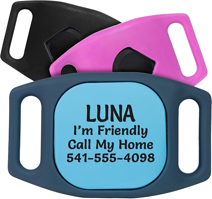GoTags Engraved Dog Collar Tracker Holder, Compatible with Life360, Personalized Case for Pet Collar, Up to 4 Lines of Custom Text, Slide On Tag for GPS Dog, Works with iOS Android (Large)