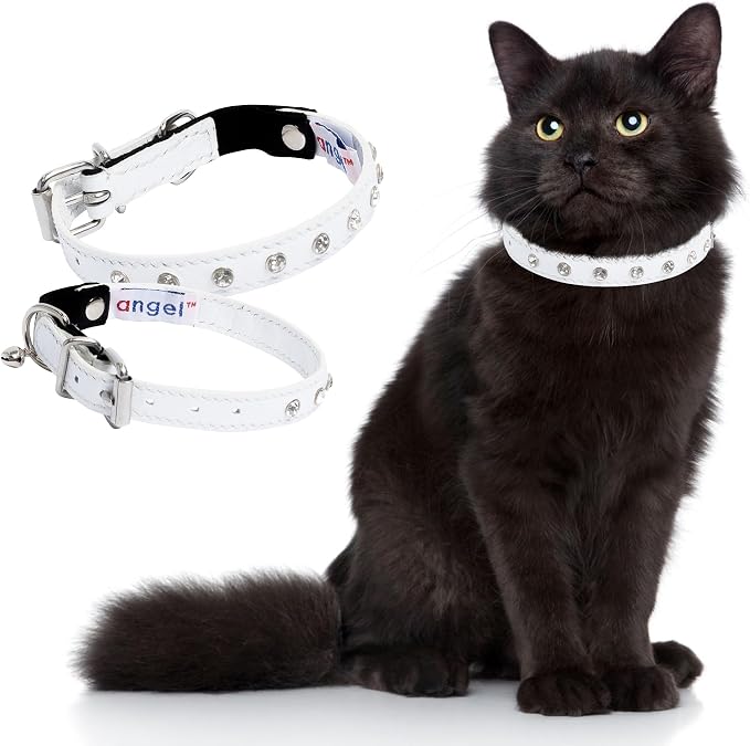 Athens Cat Collar, Leather Kitten Collar w/Rhinestones, Sturdy Breakaway Cat Collar with Bell & Elastic Stretch, Cat Accessories, Ivory White, 10 x ½ inches - Angel Pet Supplies