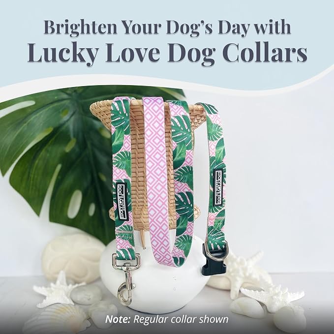 Lucky Love Dog Martingale Collar for Medium Dogs No Slip – Laguna, Medium