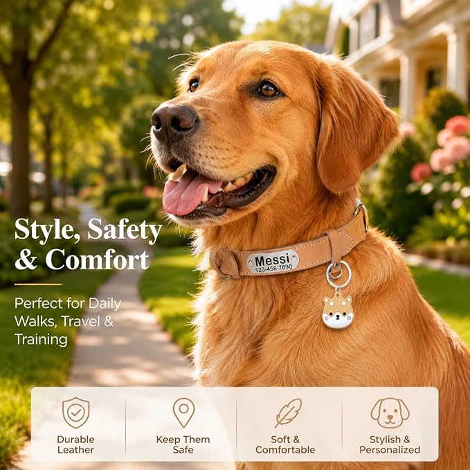 Personalized Genuine Leather Dog Collar with Name Phone Number-Khaki-M
