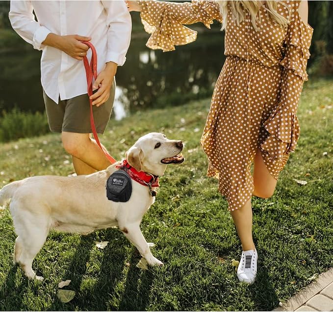 FuninCrea Dog Treat Pouch Bag, Black, 4.7 x 3.1 x 3.1 inches (12 x 8 x 8 cm), Oxford Cloth, Dog Training Treat Pouch with Built-in Poop Bag Dispenser, Practical Classic