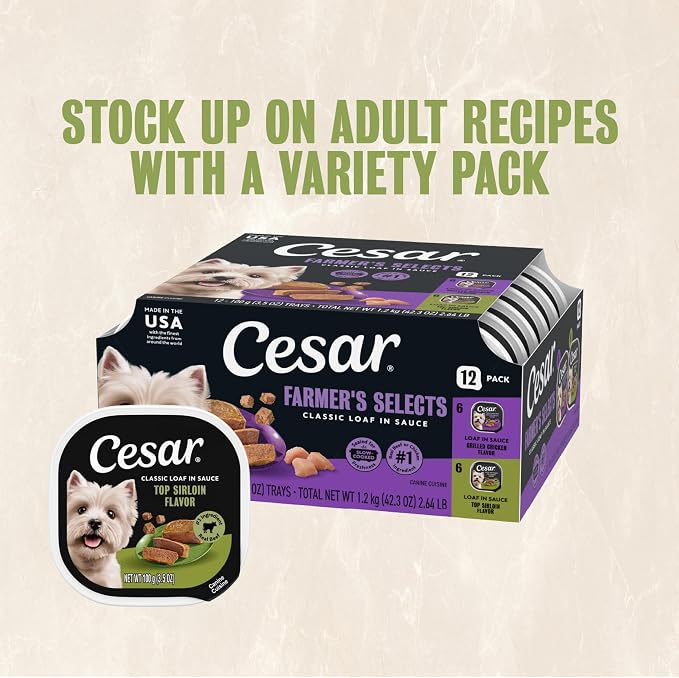Cesar Classic Loaf in Sauce Wet Dog Food, Top Sirloin, 3.5 oz, 24 Count | Made in USA, Real beef #1 ingredient, no fillers or artificial flavors, 100% complete & balanced, easy peel trays