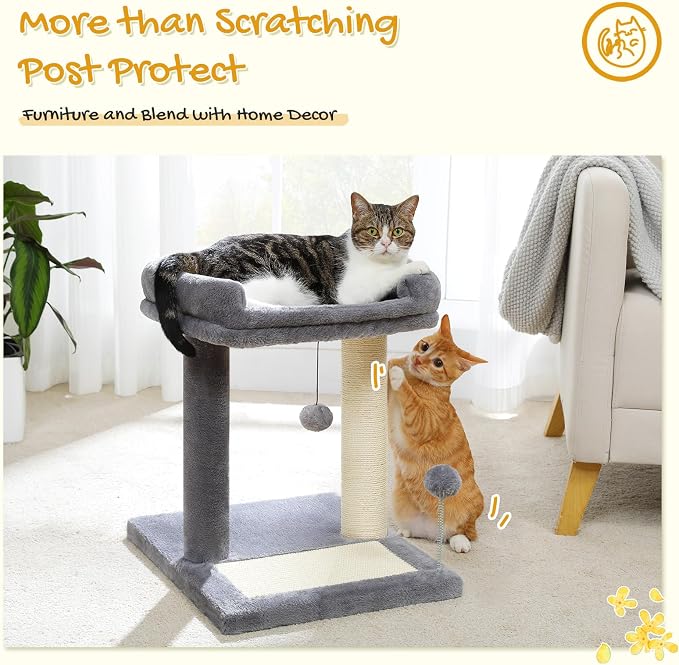 PAWZ Road Cat Scratching Post with Bed, Small Cat Tower with Pad & Ball | 19” Cat Stand with Padded Removable Bed, Full Sisal Scratching Post & Scratcher Pad Dual Play Ball for Kittens & Indoor cats