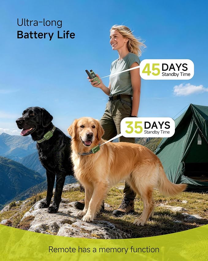 Shock Collar for 2 Dogs with Remote, 4200FT Range, Fits 10-120 lbs