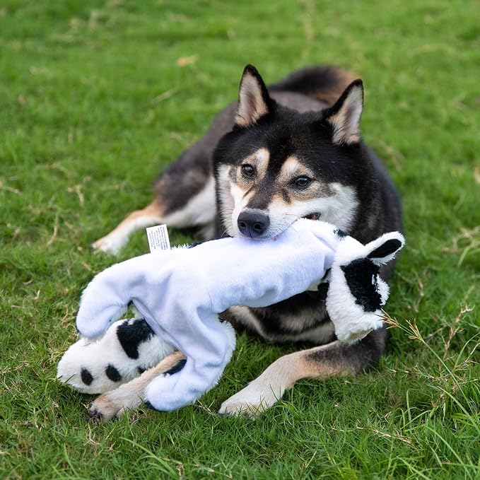 Best Pet Supplies 2-in-1 Stuffless Squeaky Dog Toy - Cow, Small | No-Stuffing, 2 Built-in Squeaker, No Mess, Soft, Interactive Indoor & Outdoor Play, Lightweight, Perfect for Moderate Chewer