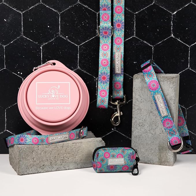 Lucky Love Dog Martingale Collar & Leash Set No Slip Cute – Clara, Medium