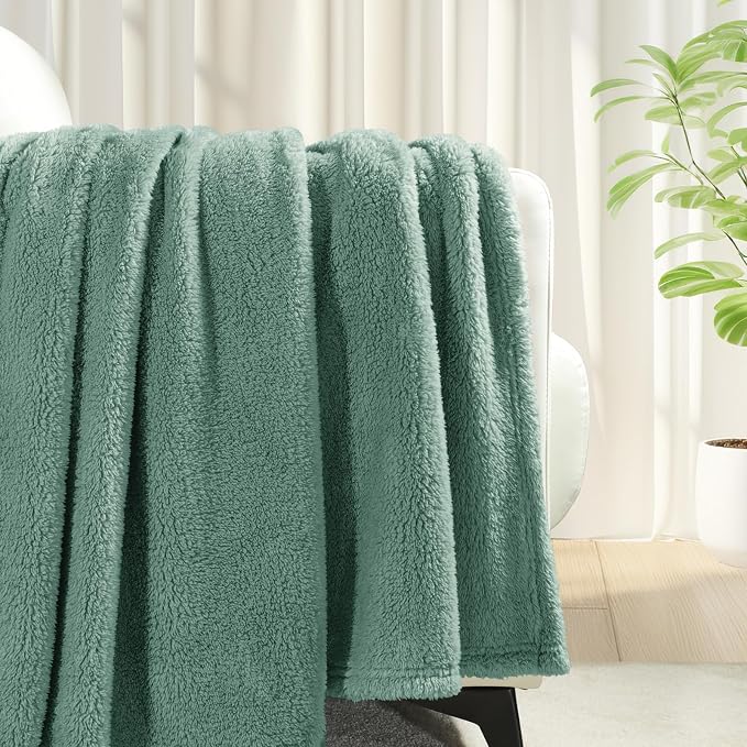 Exclusivo Mezcla Soft Plush Fleece Twin Size Blankets for Bed Living Room | Lightweight Fuzzy Fluffy Large Blanket for All Seasons, Cozy Velvet for Women Men, Machine Washable, 60"x80", Celadon