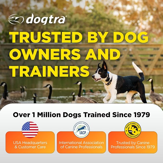 Dogtra SMART Fence Wireless Electric Dog Fence System - No Subscription, 2-Tier Alarm & App Alerts, No-Dig Up to 3/4 Acre, Tone/Vibration/Static, IPX9K Waterproof, Safe Portable Freedom Pets 35 lbs+