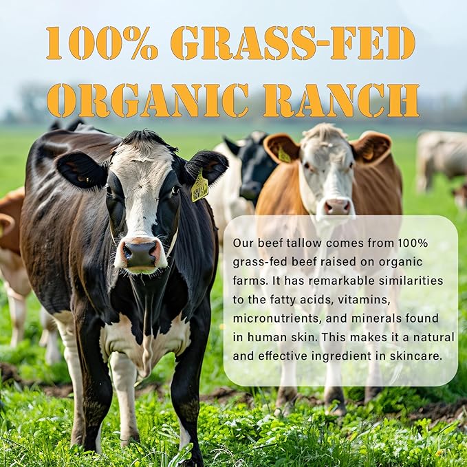 Whipped Tallow Balm with Grass-Fed Beef Tallow, Raw Honey for Face, Body, Hands, Organic Unscented Moisturizing Healing Skin Cream