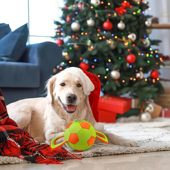 ALL FOR PAWS Dog Ball with Handles, Durable Dog Toy with Squeaker, Interactive Tug of War Ball Toy for Small and Medium Dogs, 12.6 x 5.9 x 5.9 Inch