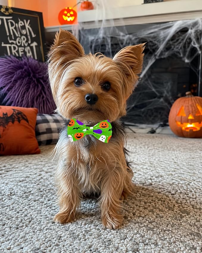PET SHOW 5 Pack Halloween Dog Bowties for Small Dogs Slide on Collar